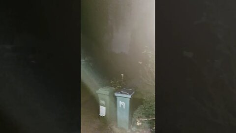 #veiws_viral_video_subscribers_grow very early morning 🌄 view of my 🚗 Park