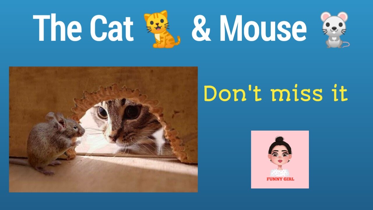 The Cat and Mouse