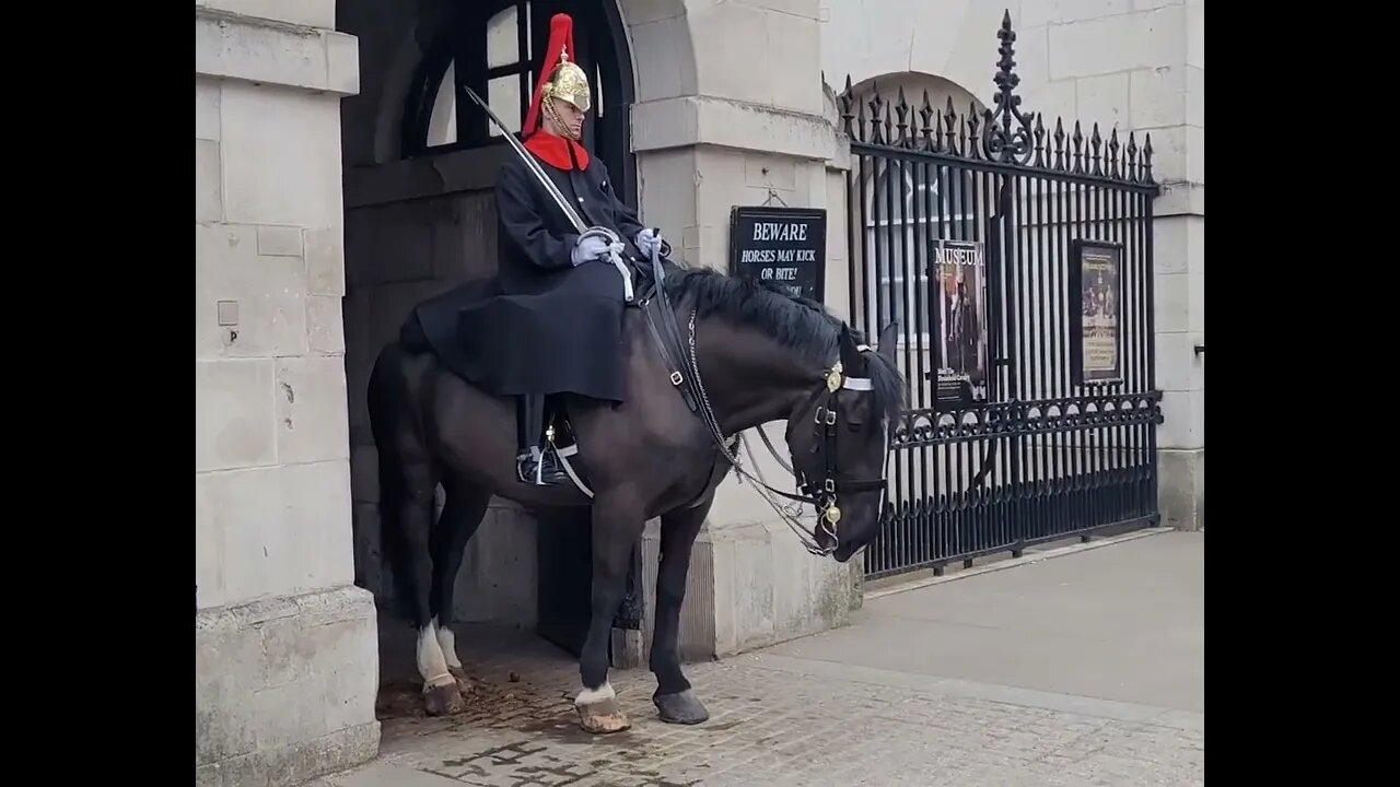 A future kings guard #horseguardsparade