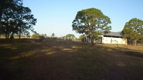 In the distance you can hear Toni calling the cows with her patented 'come on' with her Texas accent