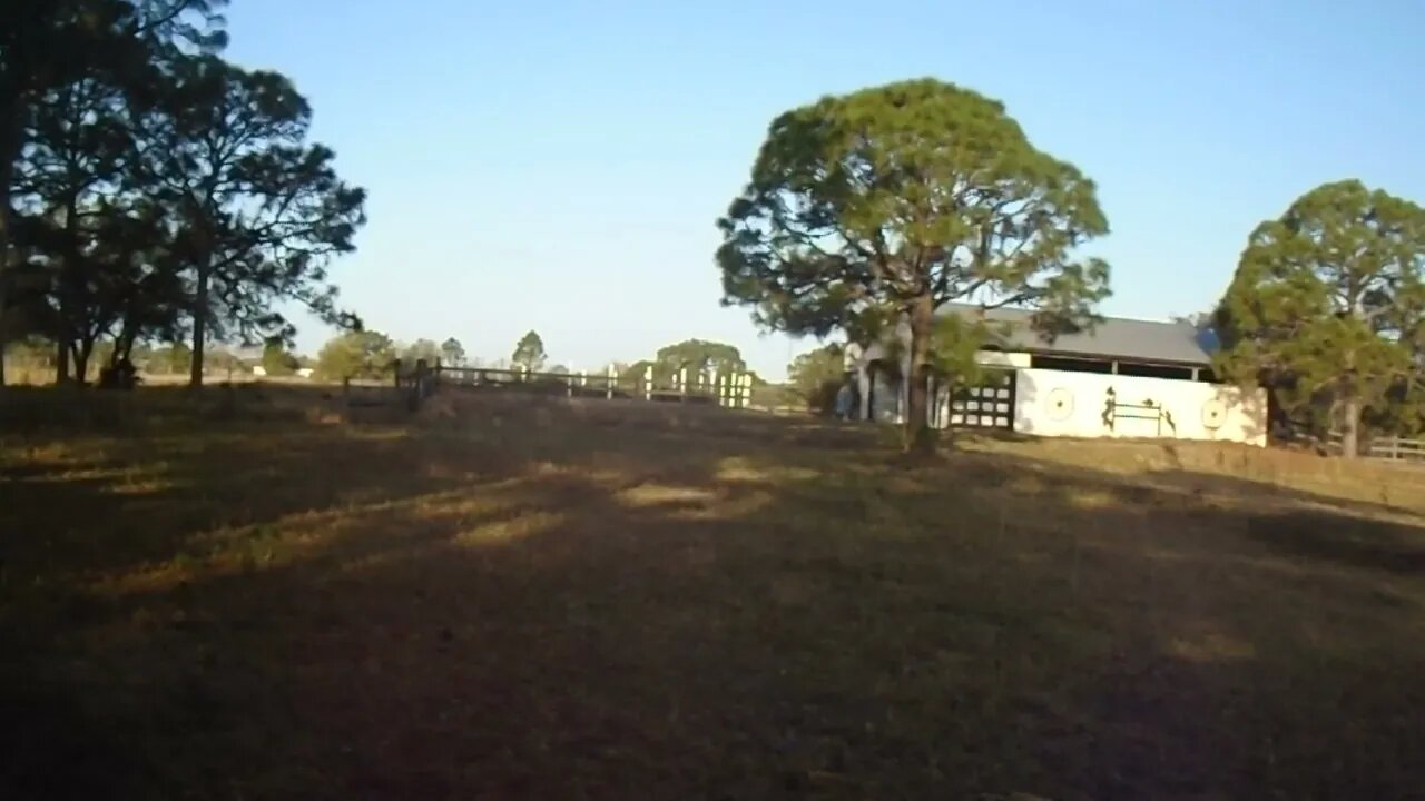 In the distance you can hear Toni calling the cows with her patented 'come on' with her Texas accent