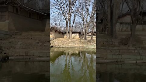 #애련정