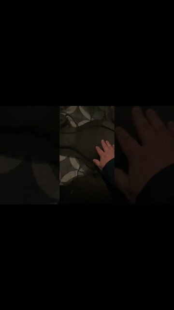 My US and Texas Wrestling Title Belts