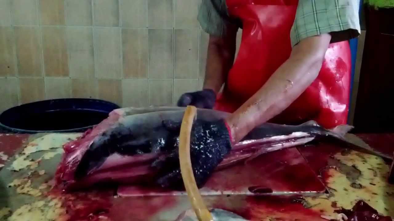 This is how you gut a fish ...