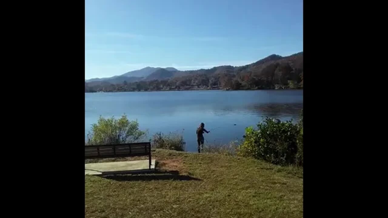 Malcolm the Swan + Redhead fishing