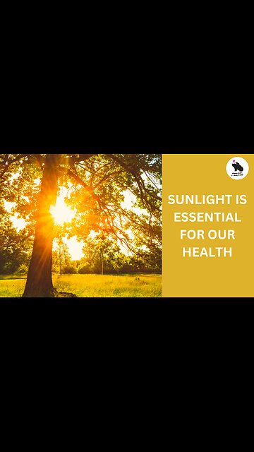 SUNLIGHT, DON’T SHY AWAY, IT’S ESSENTIAL