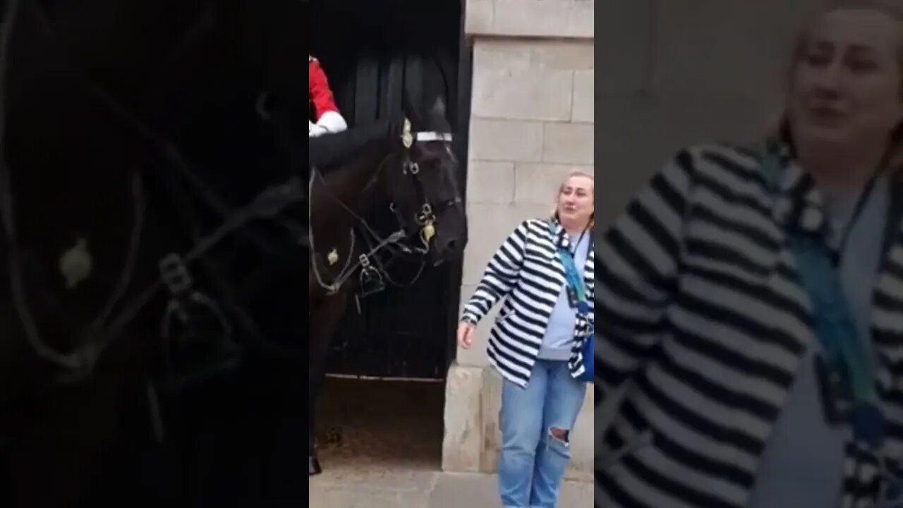 Horse pushing a tourist #horseguardsparade