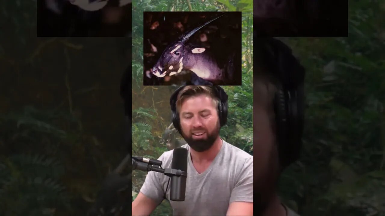 What is the Asian Unicorn? Forrest Galante and Joe Rogan #shorts