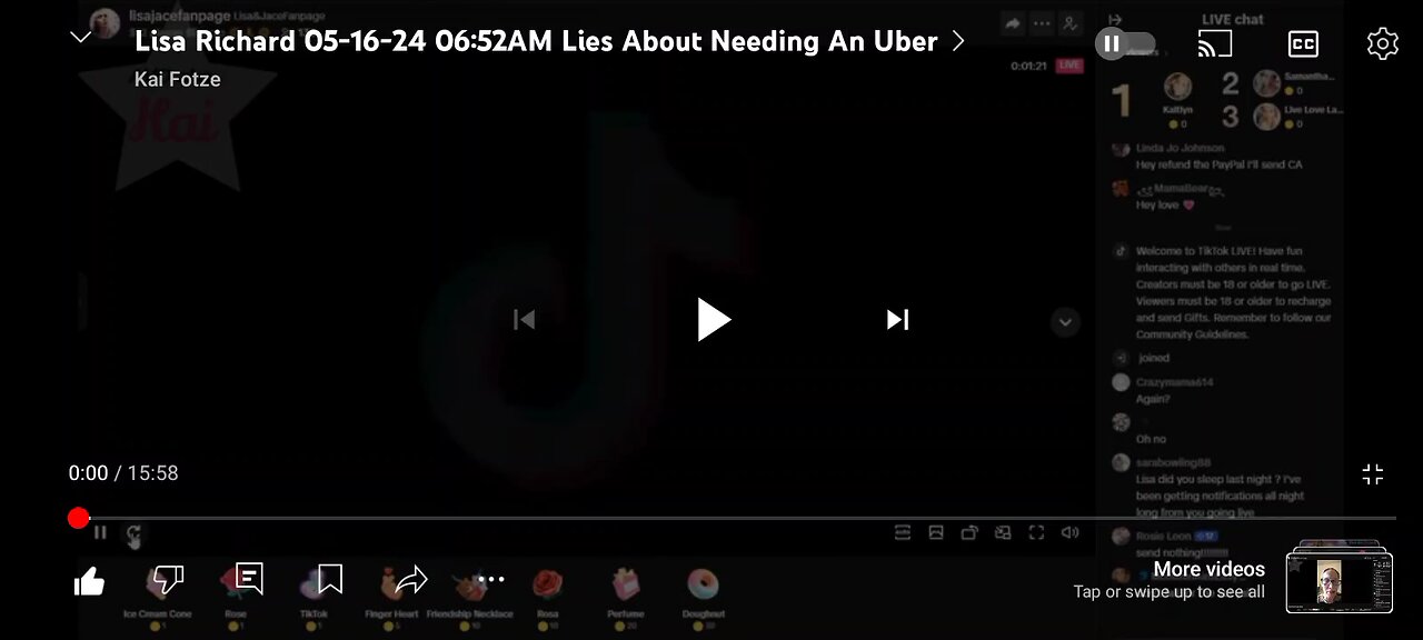Lisa stream #5 apparently the family has asked people to stop donating to her