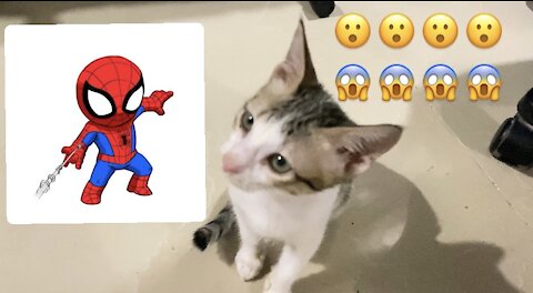 MY CAT TURNS TO… 😱😱😱 (MUST WATCH!!)