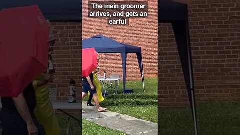 The main groomer arrives and gets an earful. #StopTheGrooming