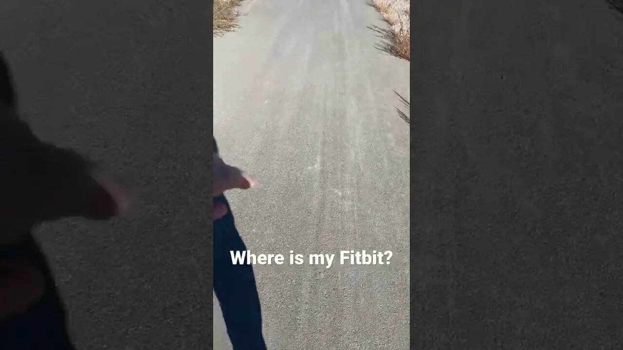 Where’s my Fitbit?