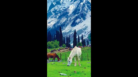 Travel with me ❤️ just Subscribe