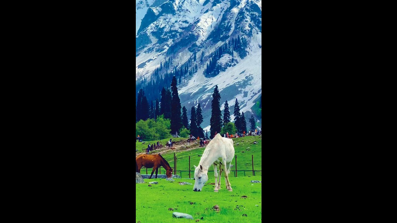 Travel with me ❤️ just Subscribe