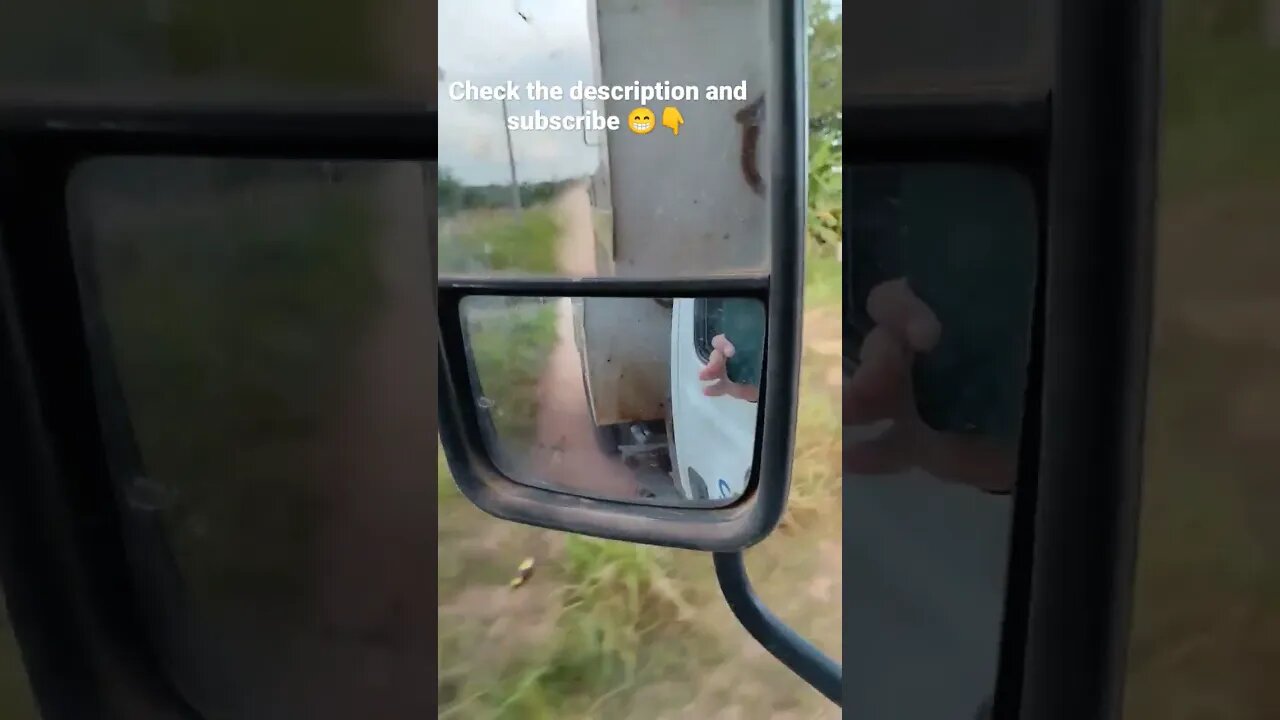 Life from the Mirror...
