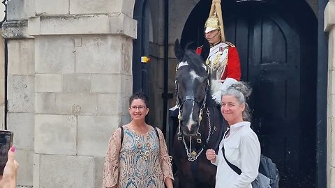 Tourist telling other Tourist don't touch the reins #horseguardsparade