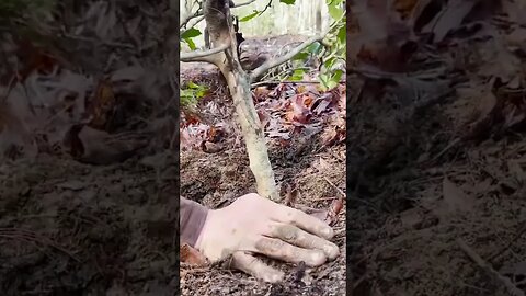 How to Build a Dakota Fire Hole | ON3 Jason Salyer