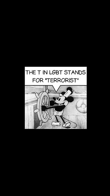 Libs Of Tik Tok Showing Yet Again Why America's Current Course Is No Bueno