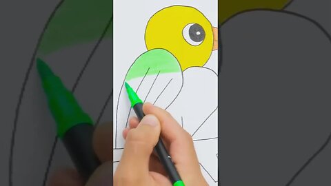 How to Win a Bird Ranger Competition