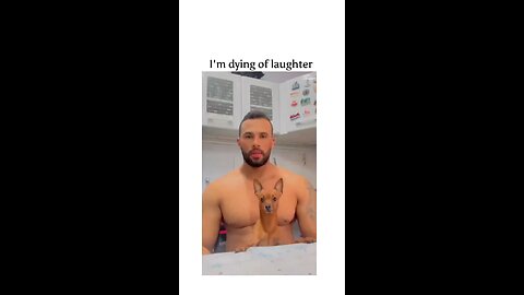I’m dying laughing 🤣