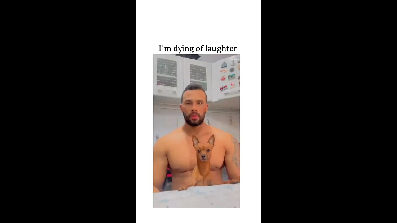 I’m dying laughing 🤣