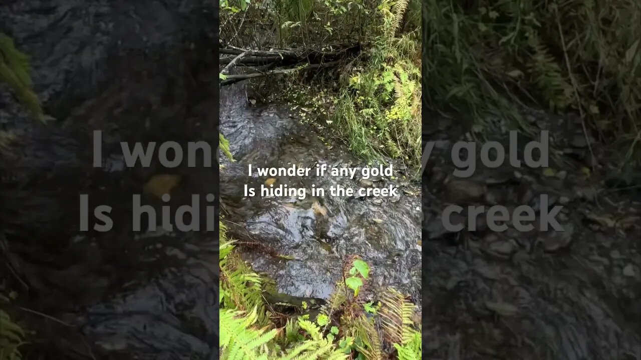 Any gold in that creek? #shortsfeed #shortvideo #remotelife