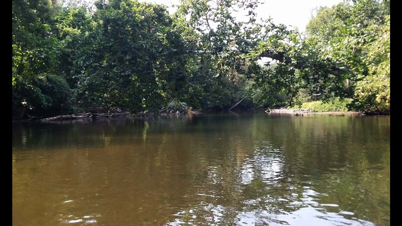 Kayak Elkhart River