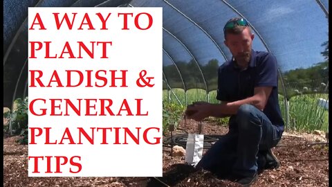 A WAY to Plant Radish & Garden PLANTING TIPS to Consider