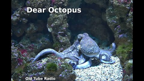 Dear Octopus by Dodie Smith