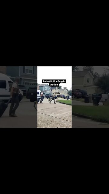 Police Robot Dog In Action