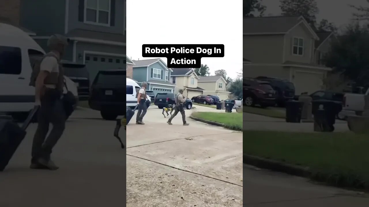 Police Robot Dog In Action