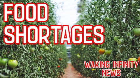 Ep 75: Food Shortages