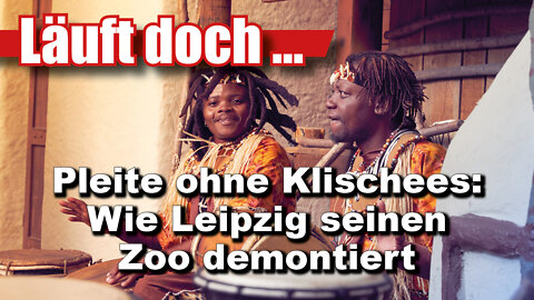 Pleite ohne Klischees: Wie Leipzig seinen Zoo demontiert (Läuft doch 54)