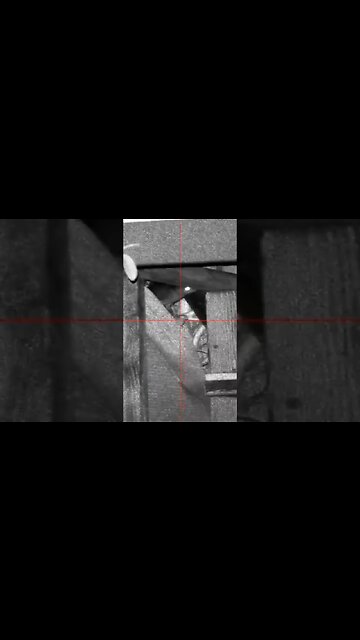 Sub 12 Ratting #airguns #ratting #pcpairgun