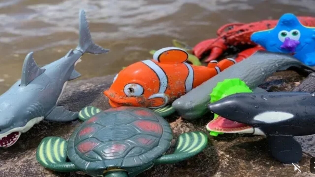 Sea Animal Toys This Summer at the Shore