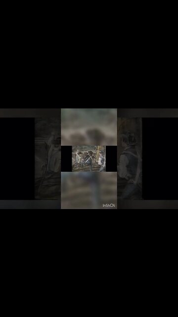 QUOTES, Founding Fathers Edition ep66 Nicholas Cresswell English Traveler on Increase in Militiaman