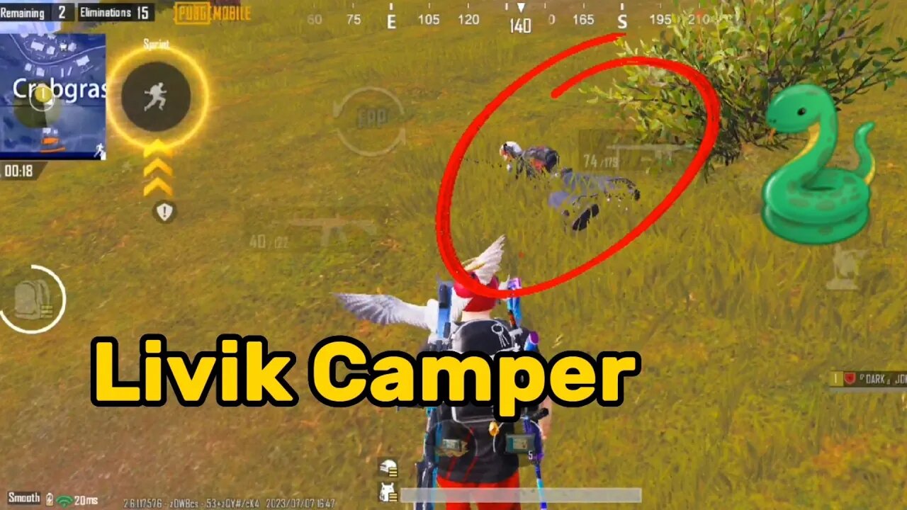 These Campers Are So Stupid