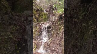 Small water fall above Stevens Canyon Road.