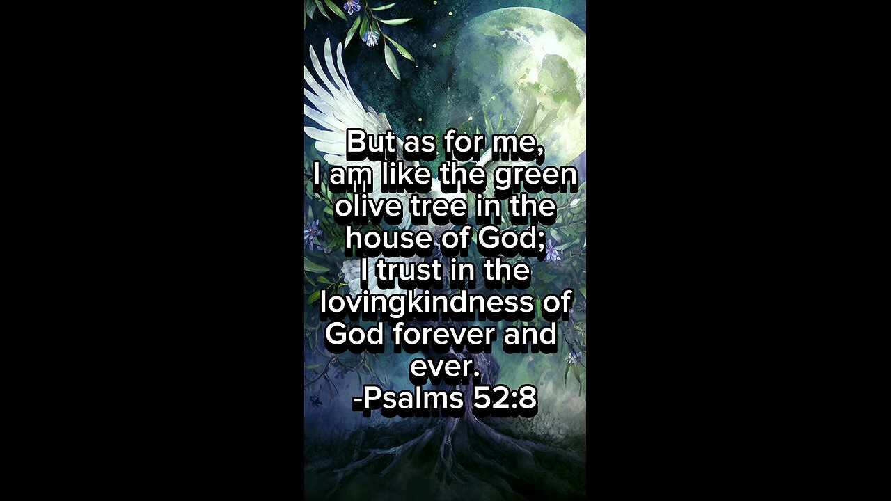 Verse of The Day: Psalms 52:8