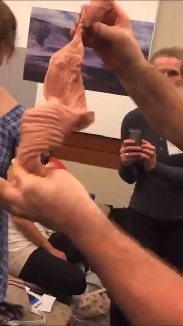 O coração é uma válvula?