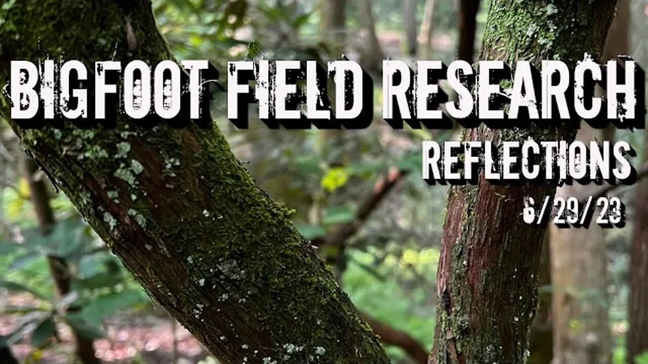 Bigfoot Field Research | Reflections | 6/29/23