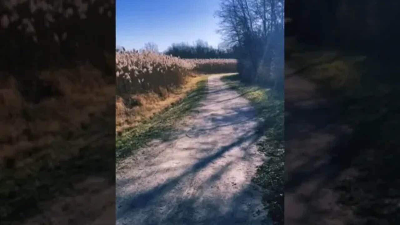 on the trail.