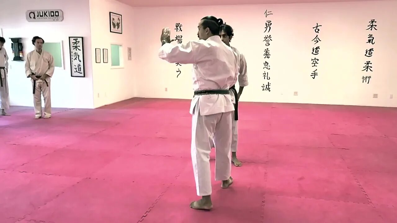 Sasae Tsurikomi Ashi • Basic Uchikomi || JUKIDO JUJITSU #jujitsu #jiujitsu #judo #ashiwaza