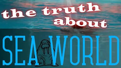 The Truth About SEAWORLD - The Walrus Whisperer VS Seaworld Canada - The Future of Zoos