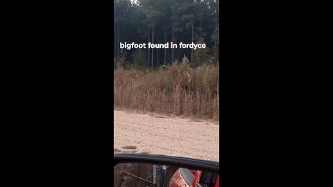 Bigfoot in the wilderness