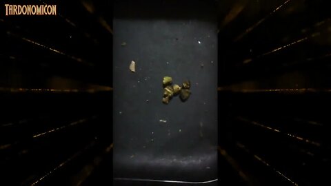 2022 02 18 3 Street blunt