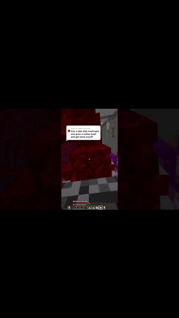 Minecraft / Майнкрафт #tiktok #Shorts