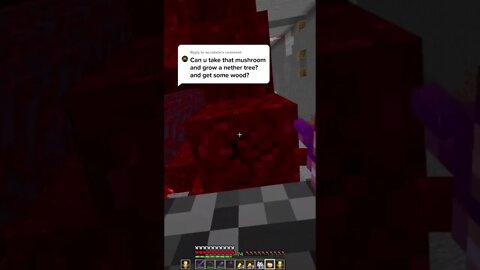 Minecraft / Майнкрафт #tiktok #Shorts