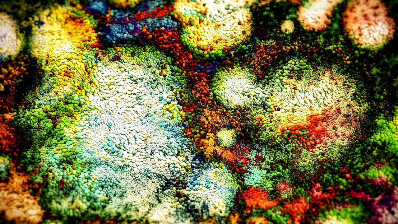 Solari Wellness Series: The Gut Microbiome—Why We Should Care with Dr. Tom O'Bryan