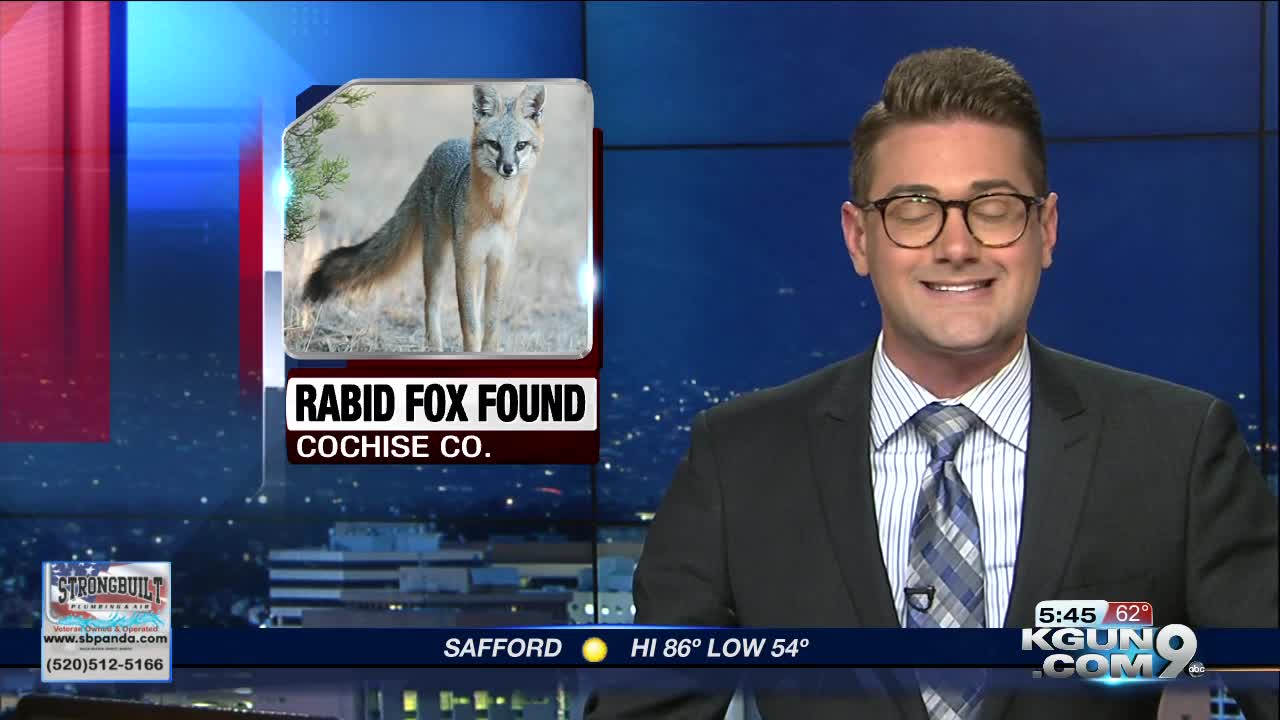 Cochise County warns of rabid fox